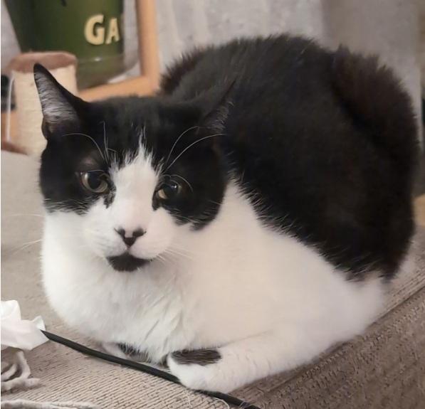 Spiro — thumbnail 2