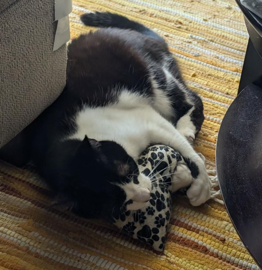 Spiro — thumbnail 3