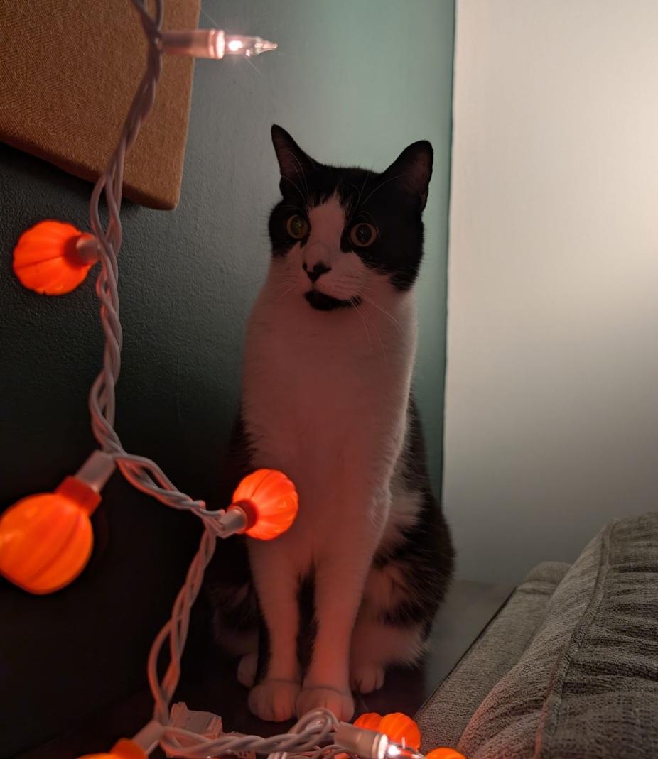 Spiro — thumbnail 4