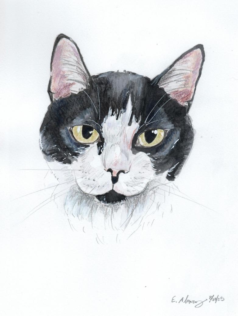 Spiro — thumbnail 6