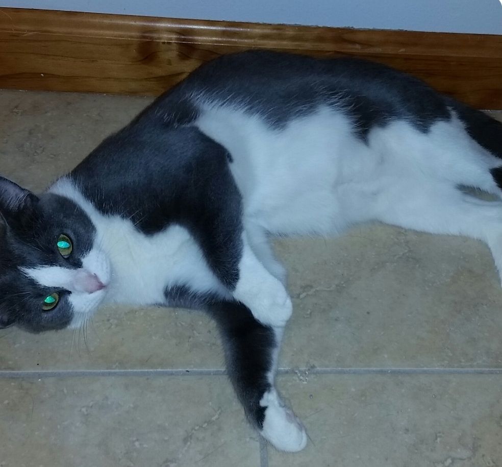 JOSIE photo 2