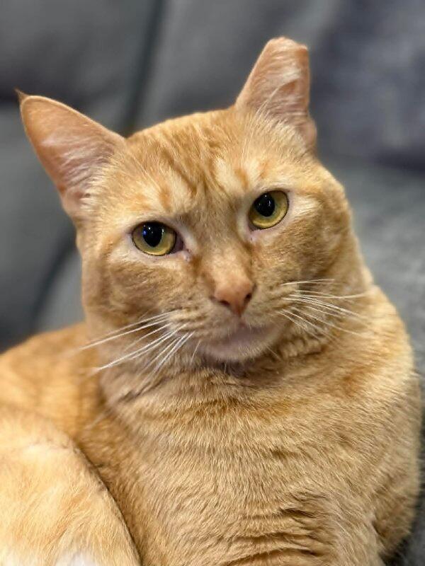 Sabine Davey — thumbnail 2