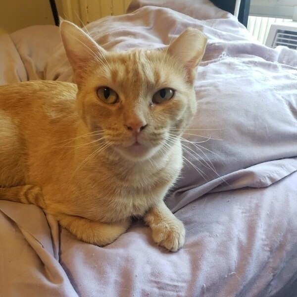 Sabine Davey — thumbnail 3