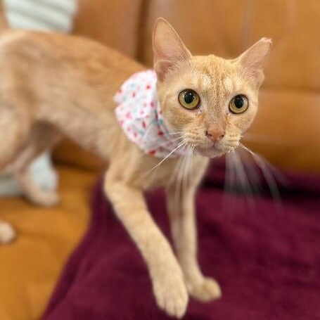 Sabine Davey — thumbnail 5