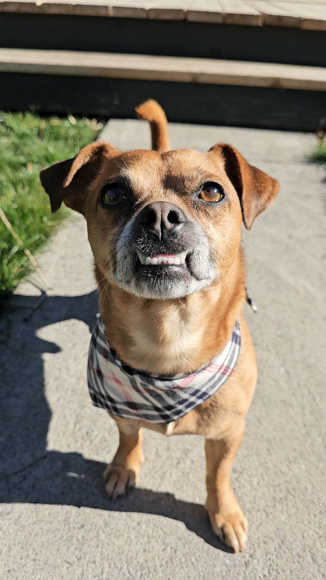 Mikey — thumbnail 2