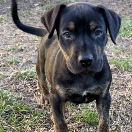 Peter — thumbnail 2