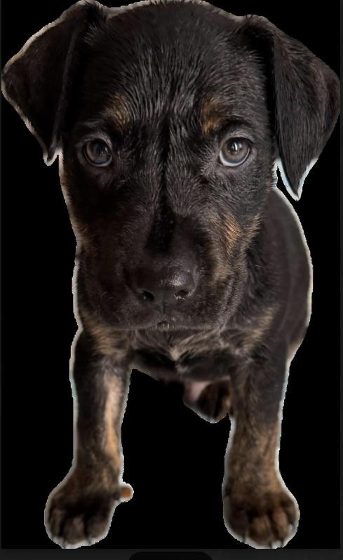 Peter — thumbnail 3