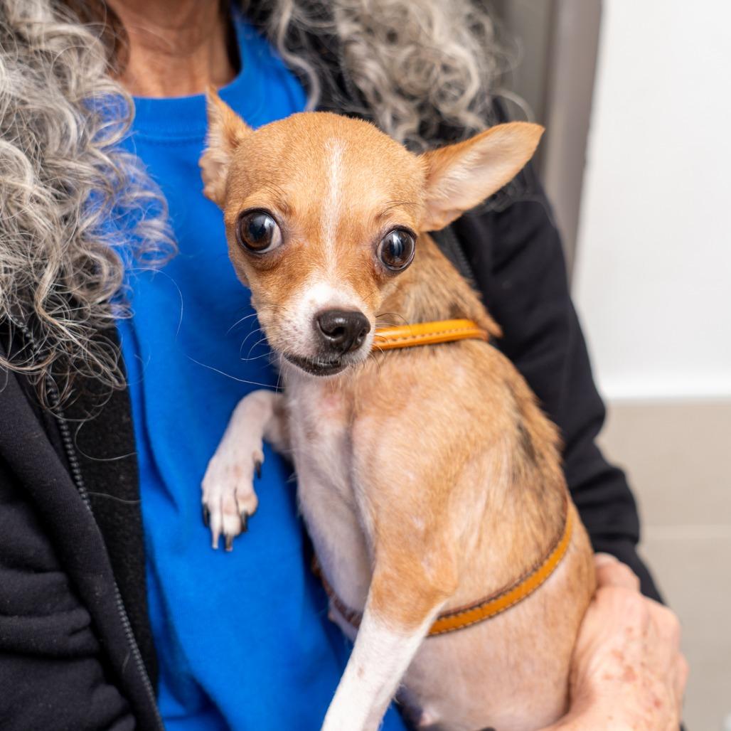 Espresso thumbnail 2