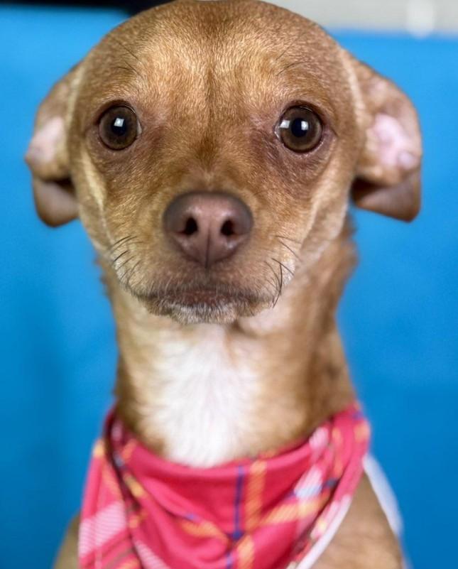 Magpie - Friendly Happy Girl