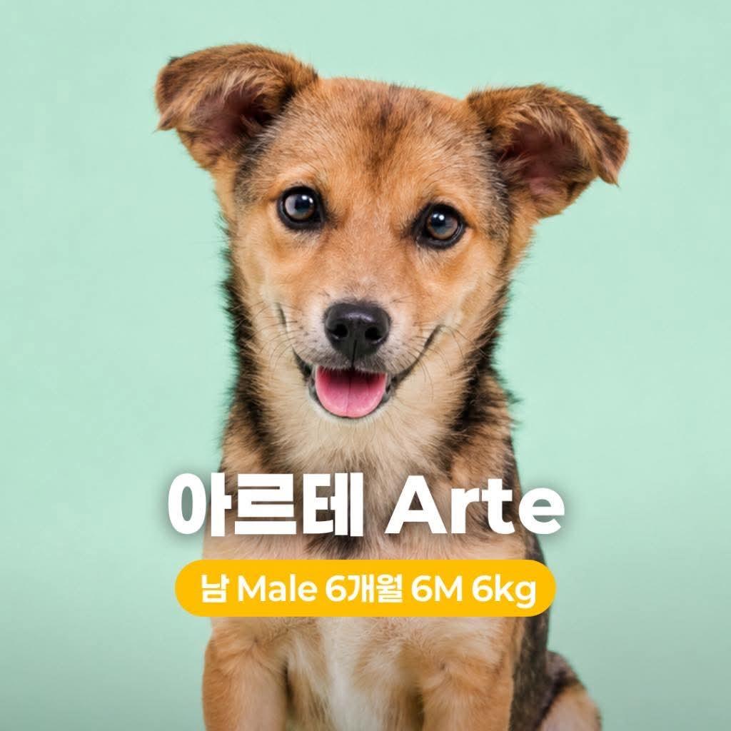 Arte photo
