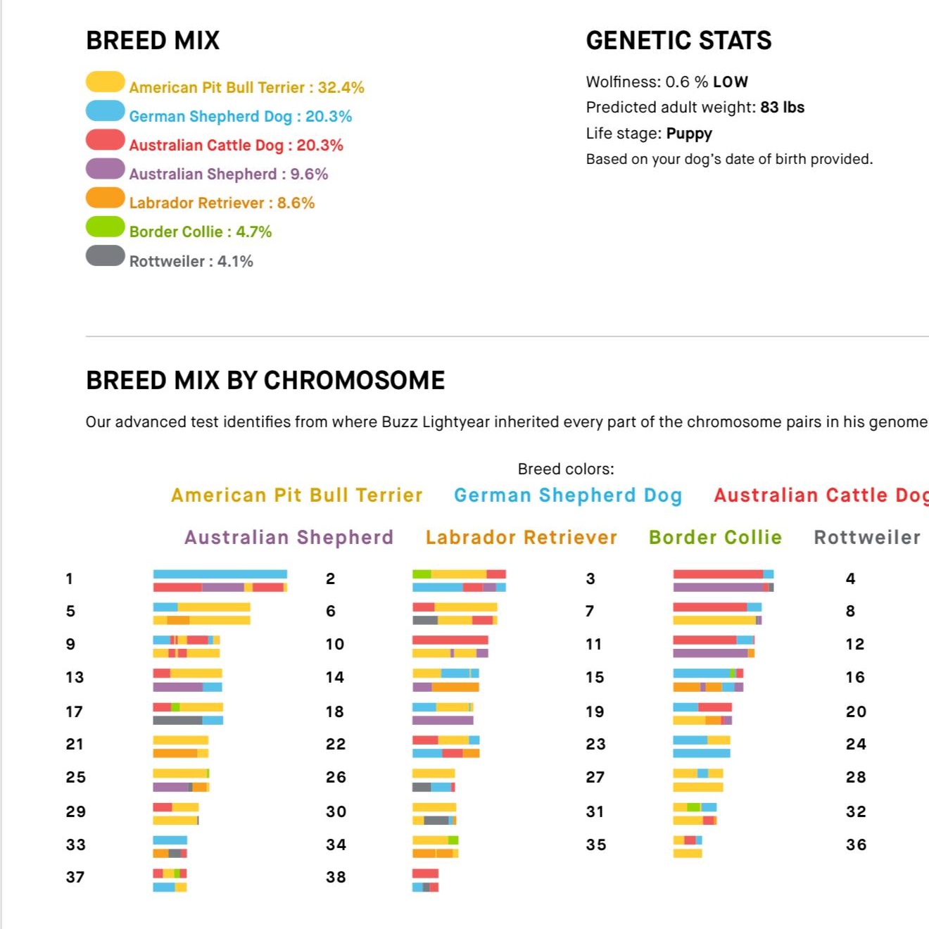 Boo, a Adoptable mixed breed in Center Point, TX image 5/5