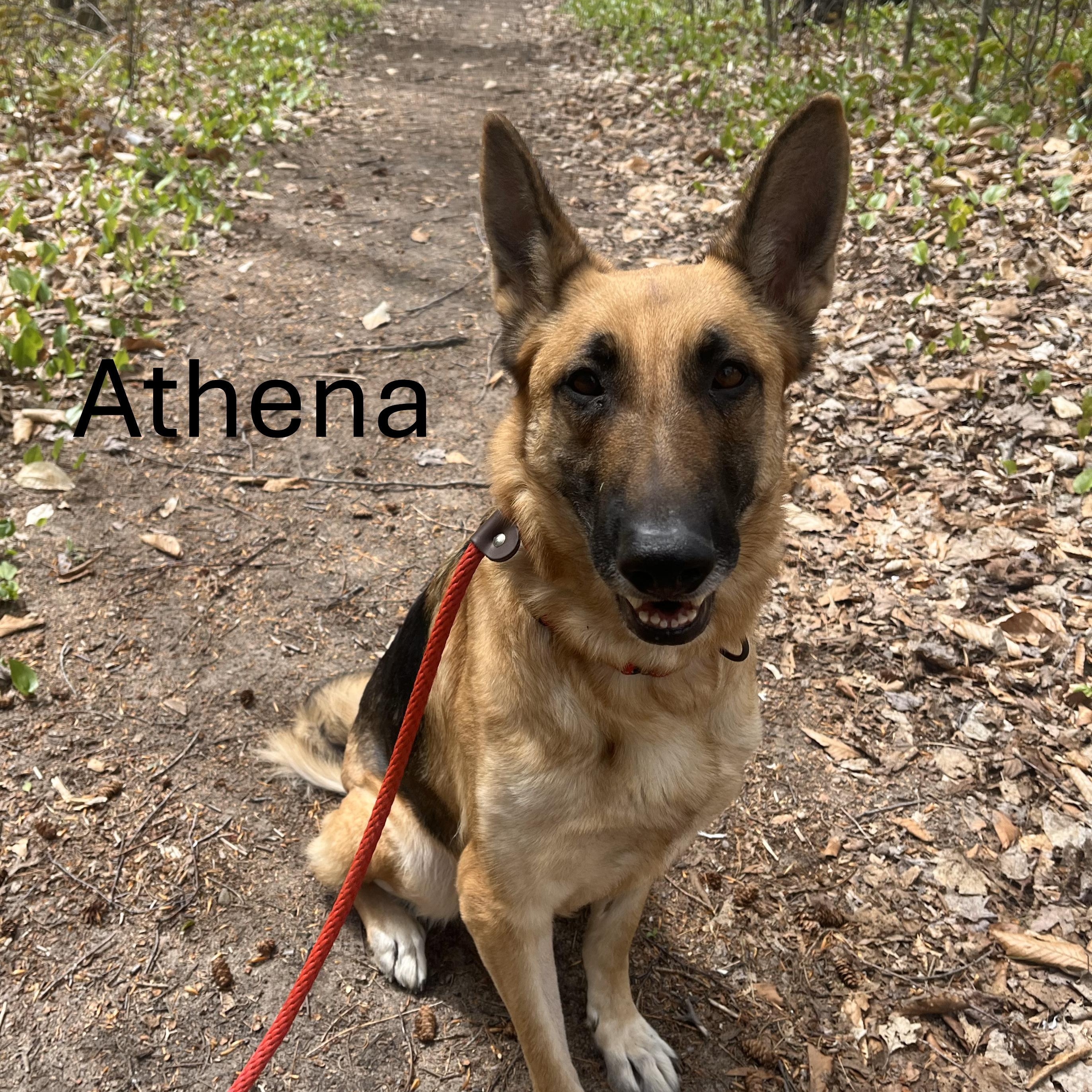 Athena
