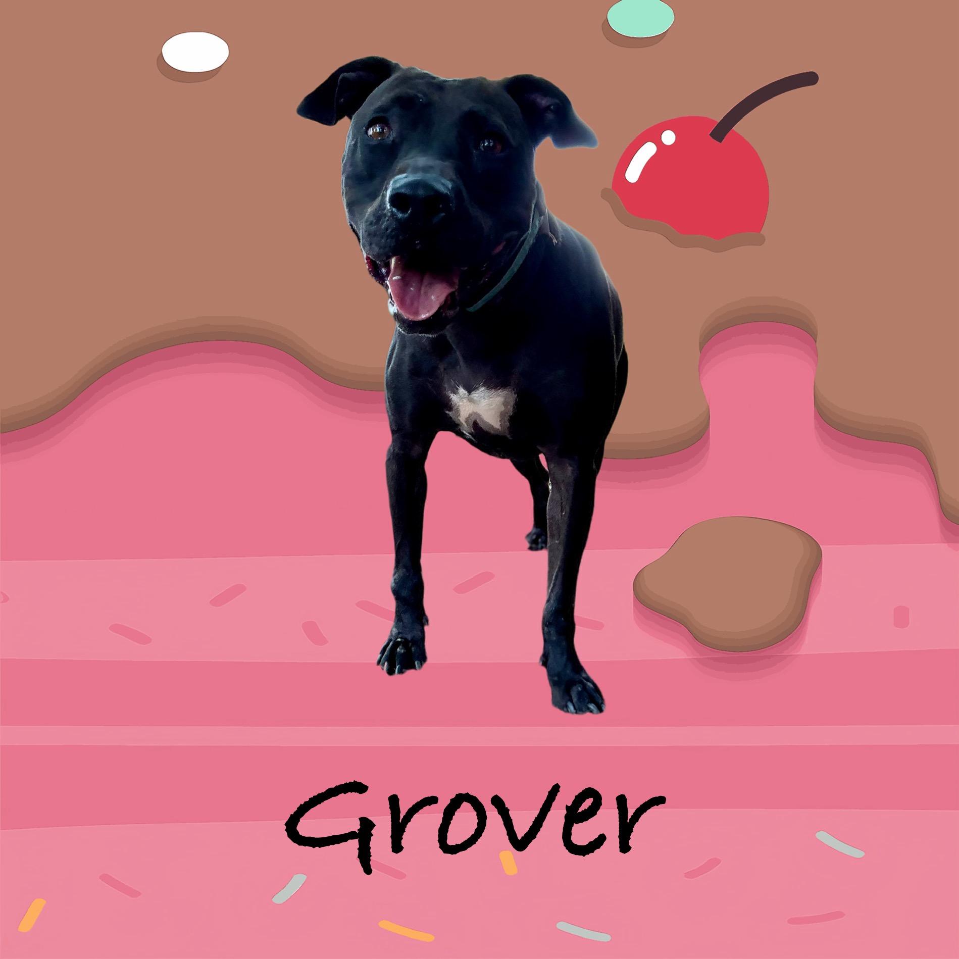 *Grover