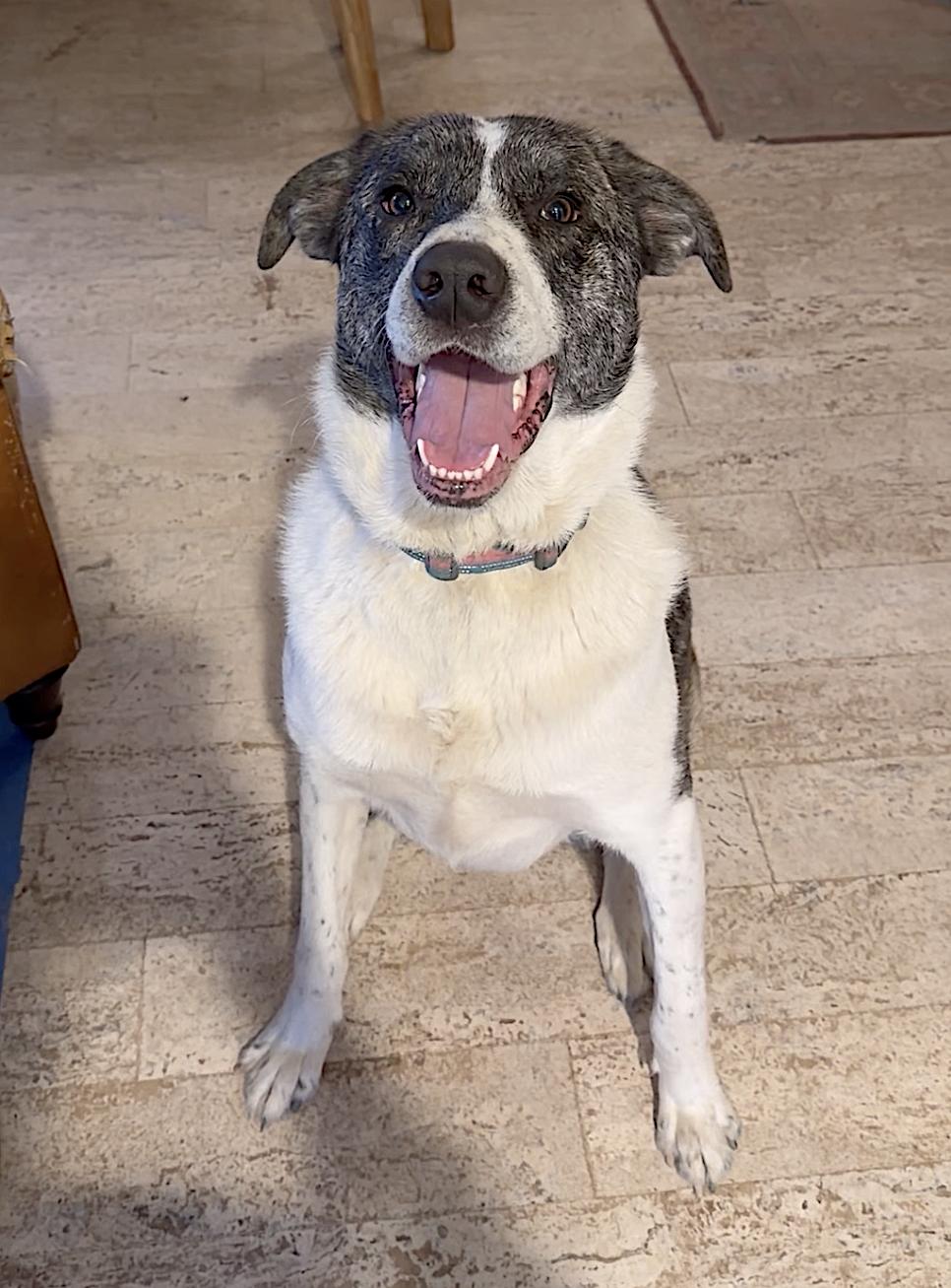 Meep — thumbnail 4