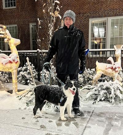 Enlarge Ollie, an adopted Border Collie in Palmyra, VA image 2/3