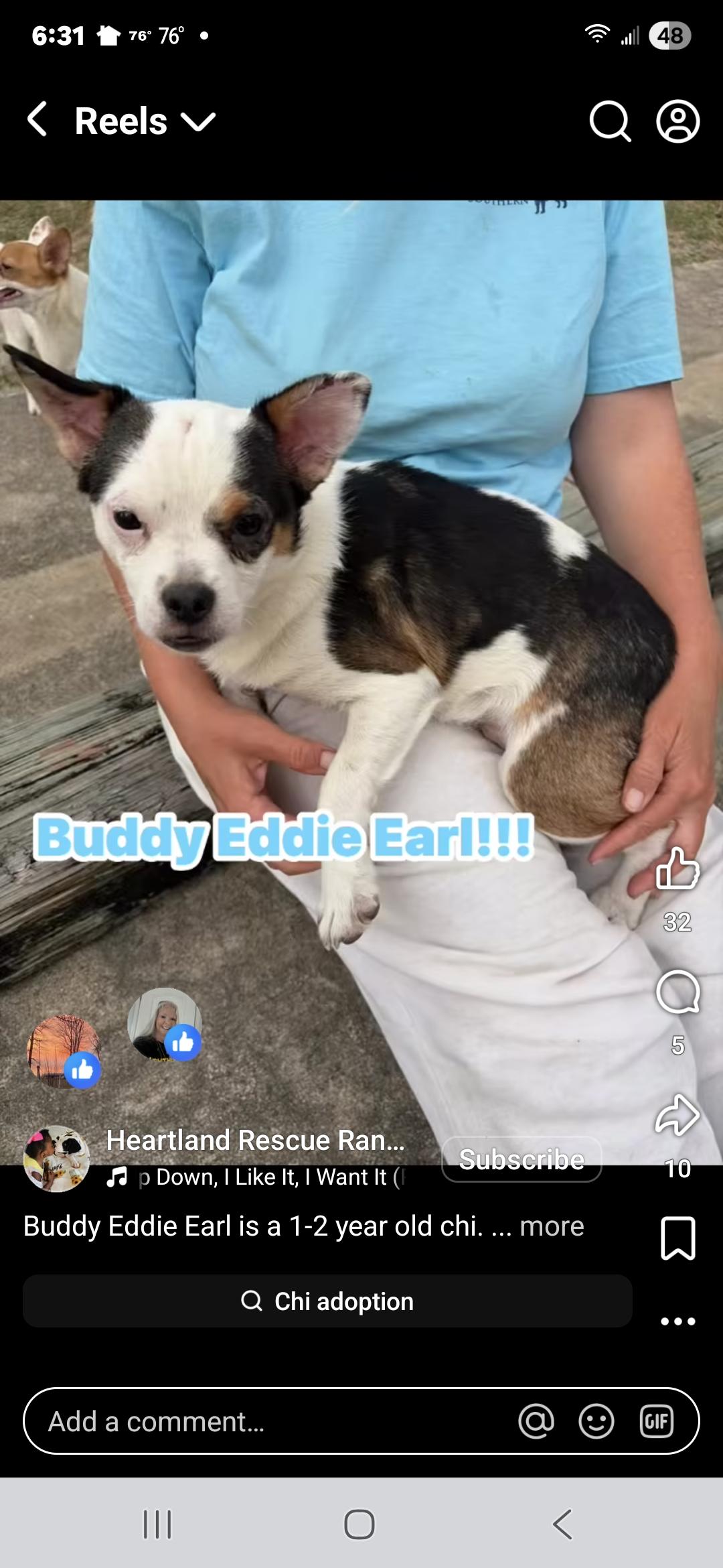 Enlarge Buddy Eddie Earl, a Adoptable mixed breed in Panama City, FL image 1/1