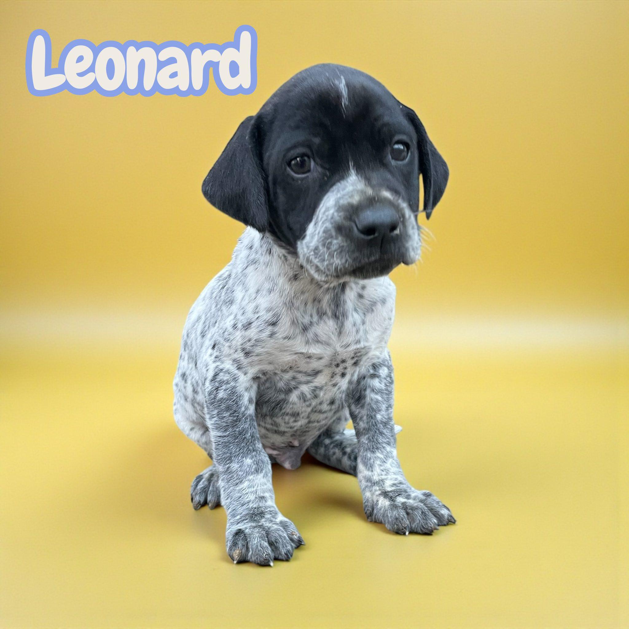 Leonard