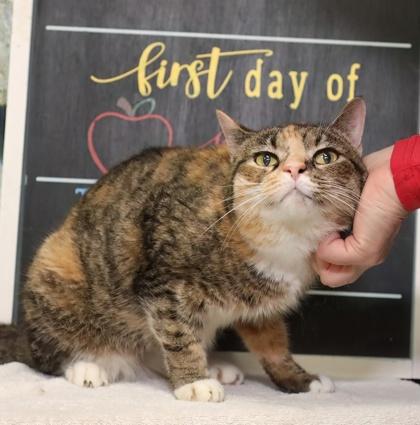 Mila — thumbnail 2