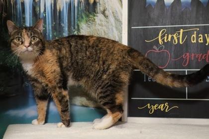 Mila — thumbnail 3