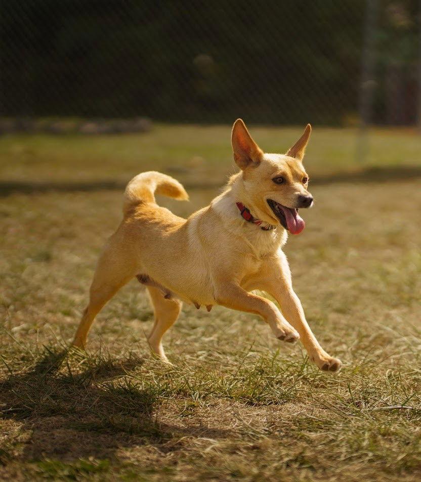 Beautiful Bonnie thumbnail 2