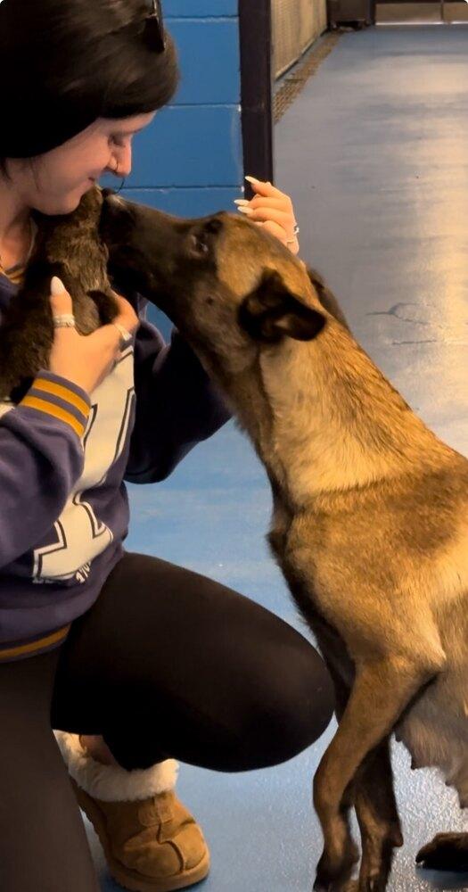 Desert Life Litter Momma thumbnail 2