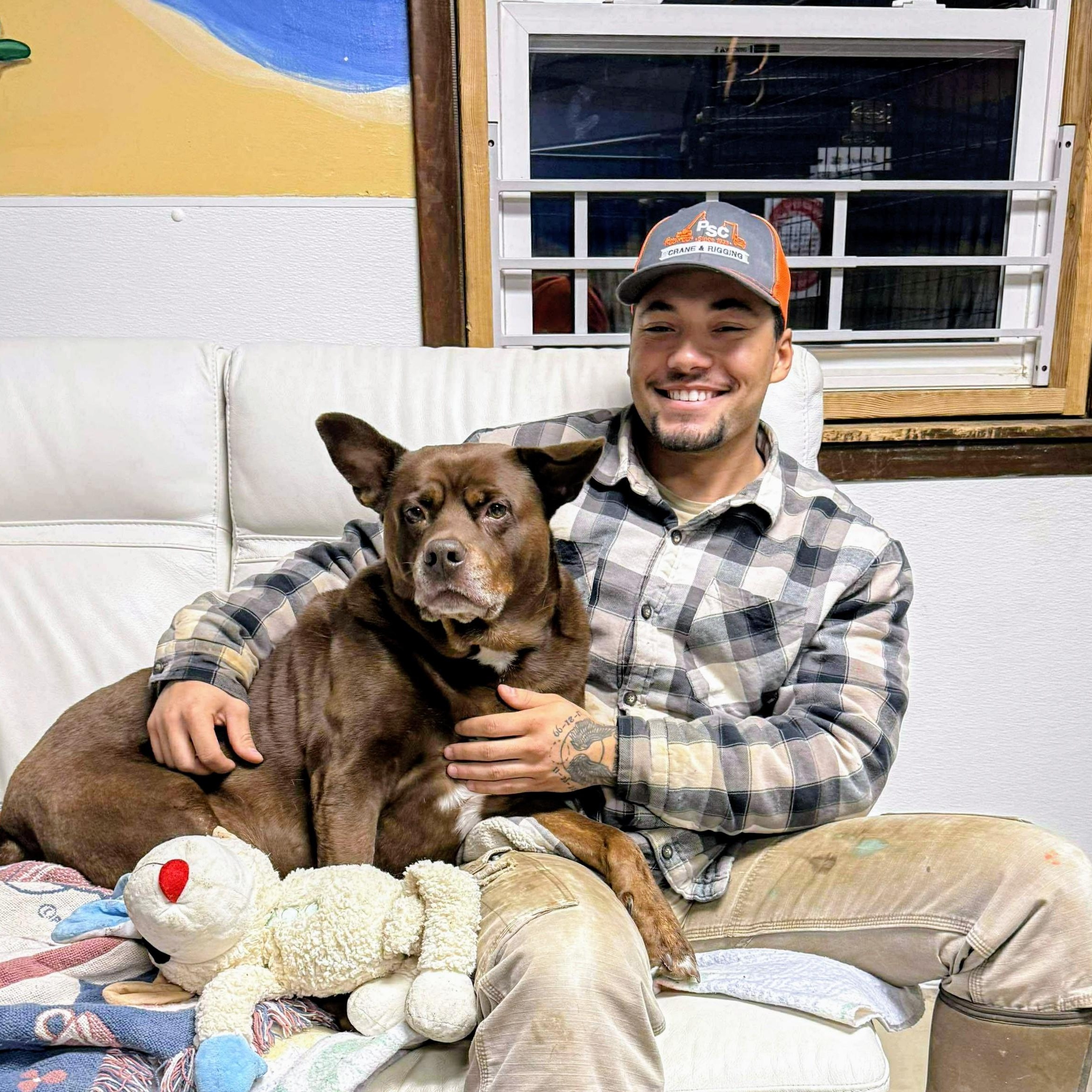 Gizmo, SENIOR-FULLY SPONSORED!, Adoptable, Senior Male Labrador Retriever & Mixed Breed.