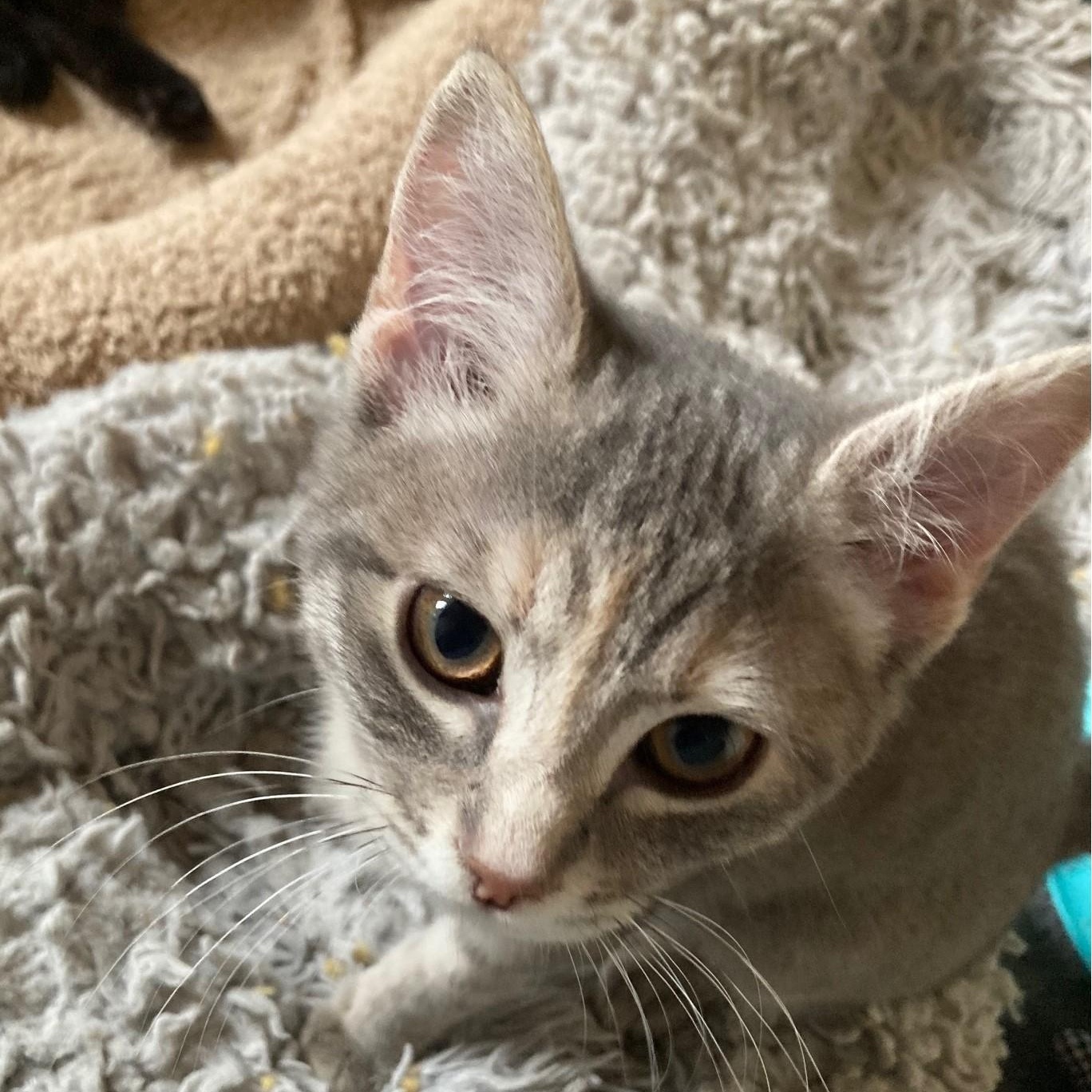 Annette  Great Personality photo 1