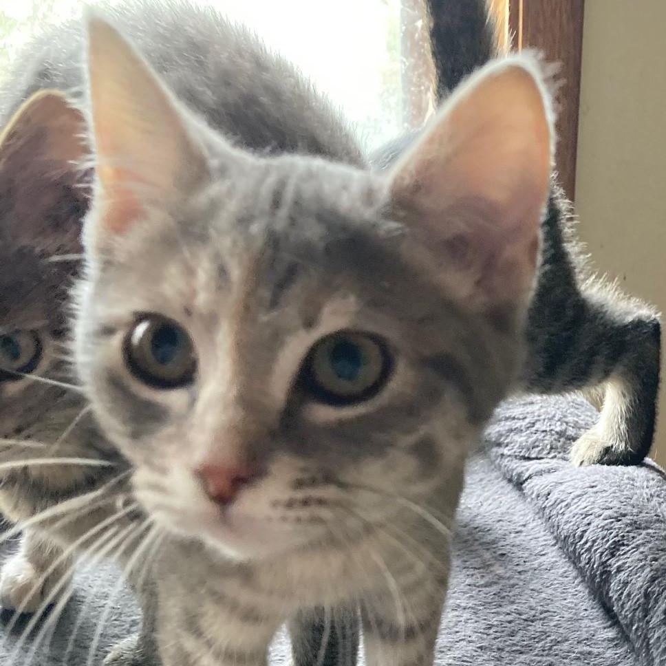 Annette  Great Personality thumbnail 4