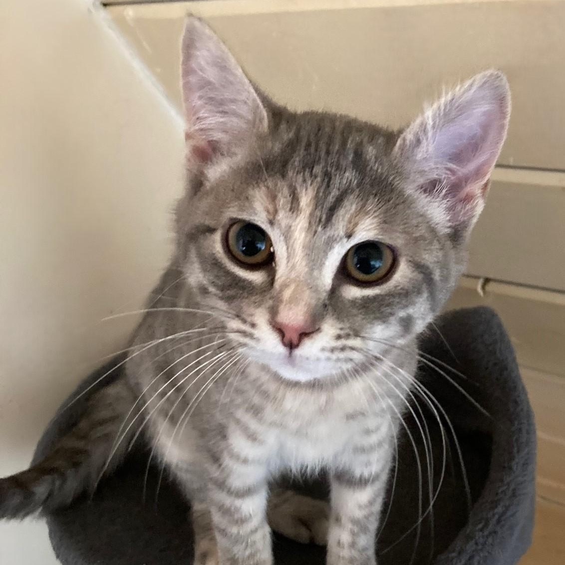 Annette  Great Personality thumbnail 2