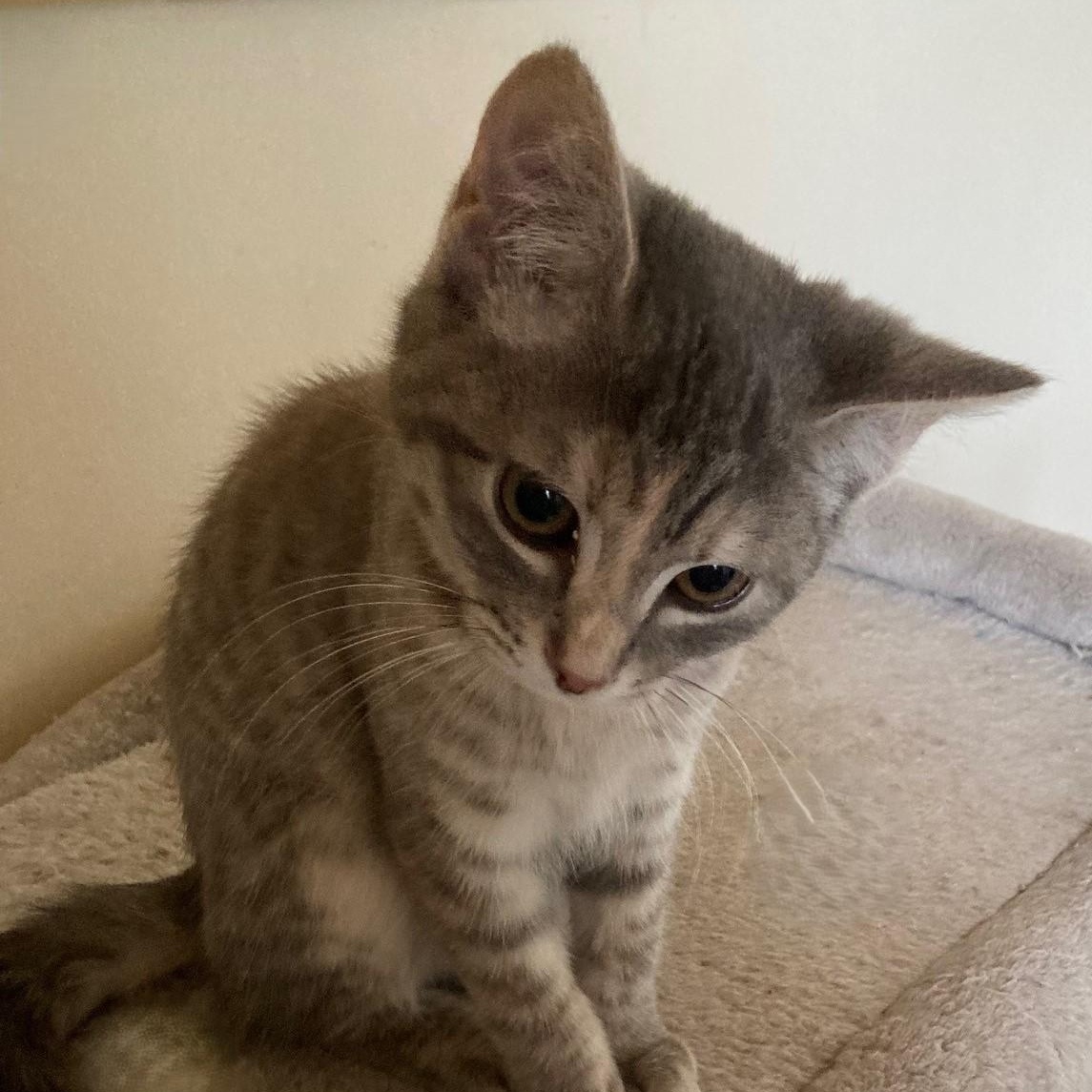 Annette  Great Personality thumbnail 3