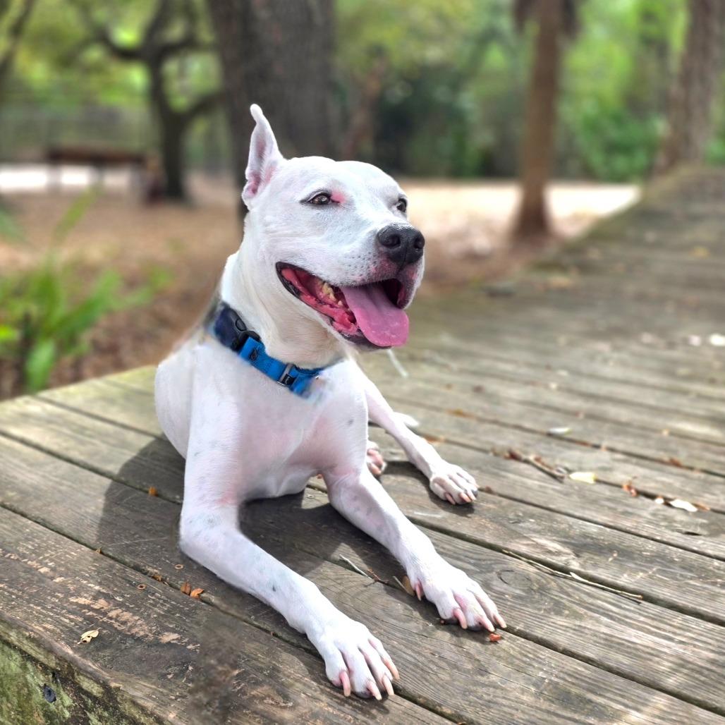 Duncan — thumbnail 2