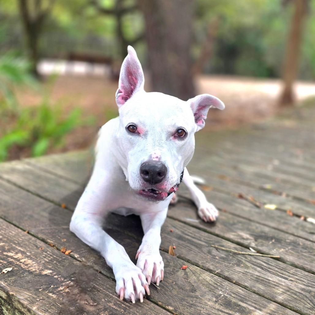 Duncan — thumbnail 5