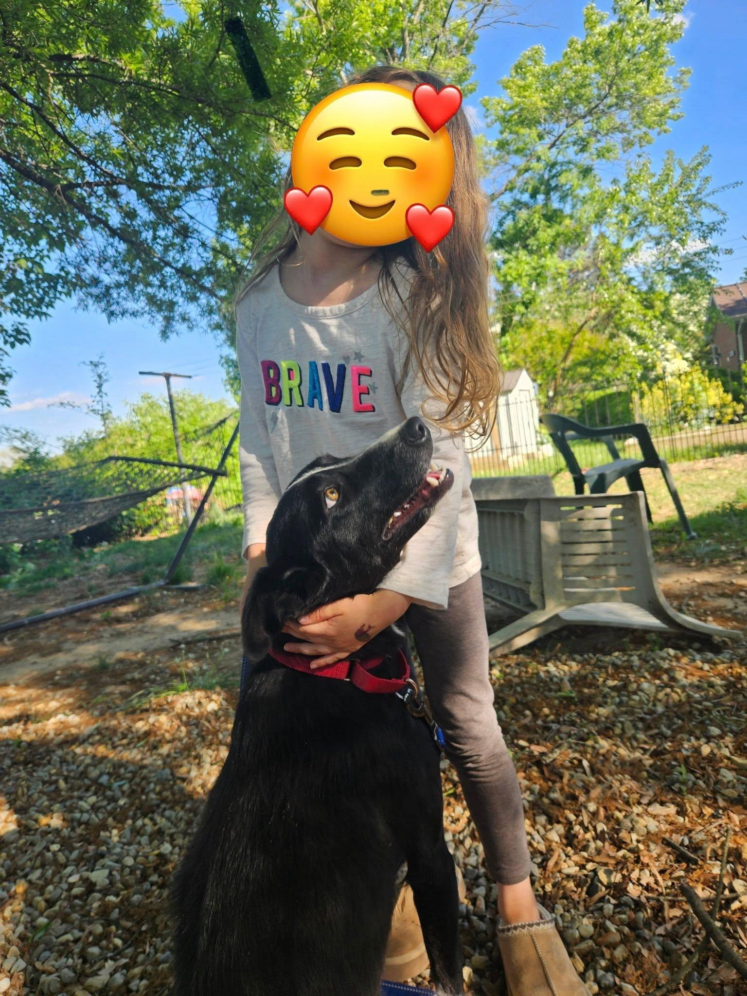 Hope, a ADOPTABLE Border Collie in Chestertown, MD image 2/6