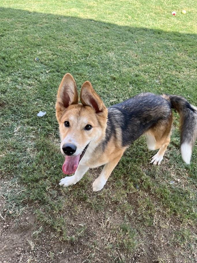 Lucky* A206184