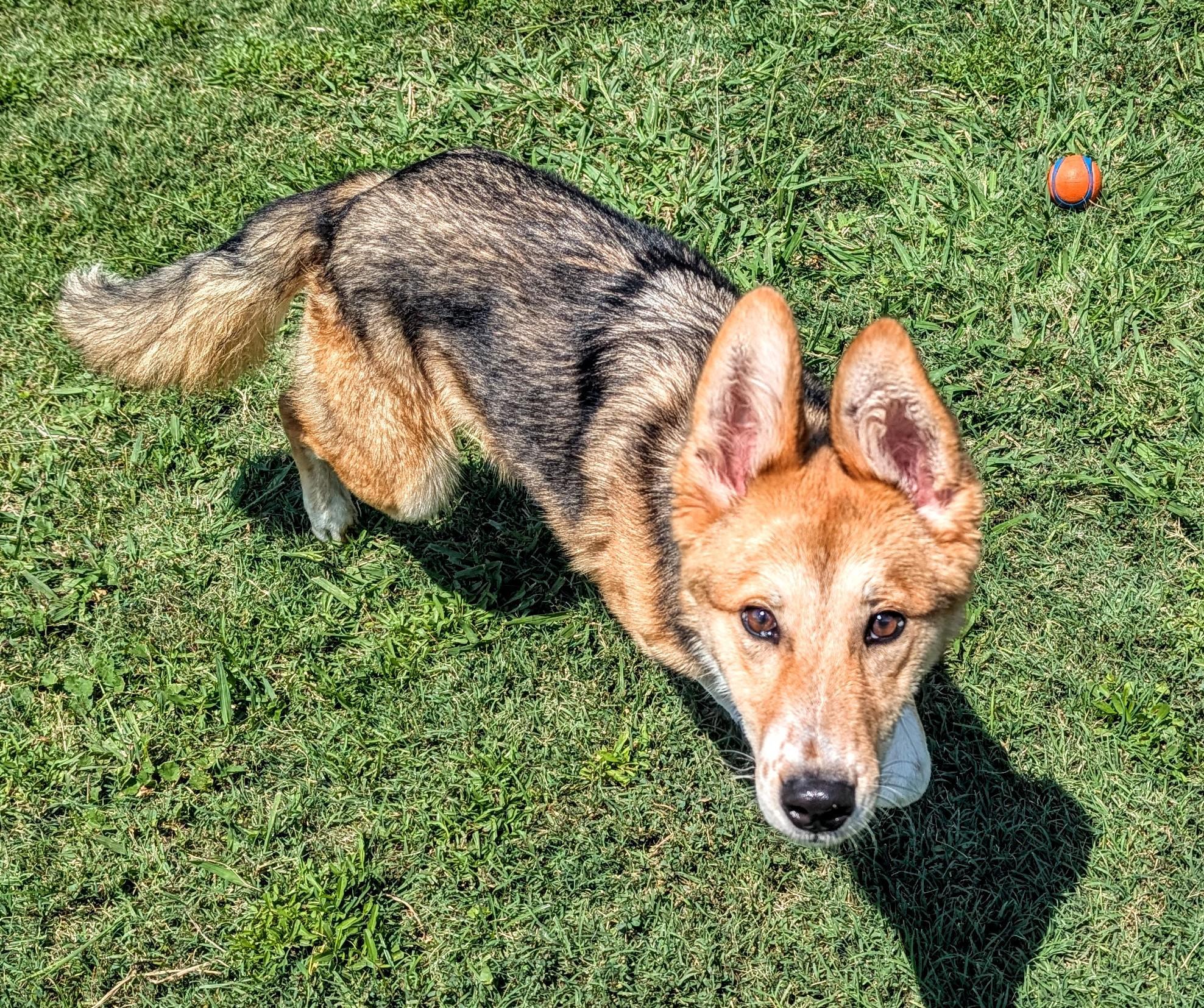 Lucky* A206184