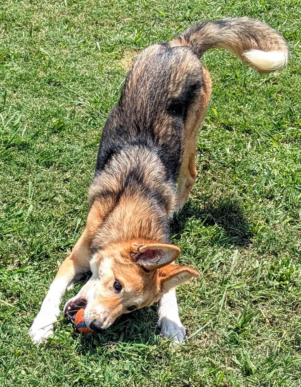 Lucky* A206184