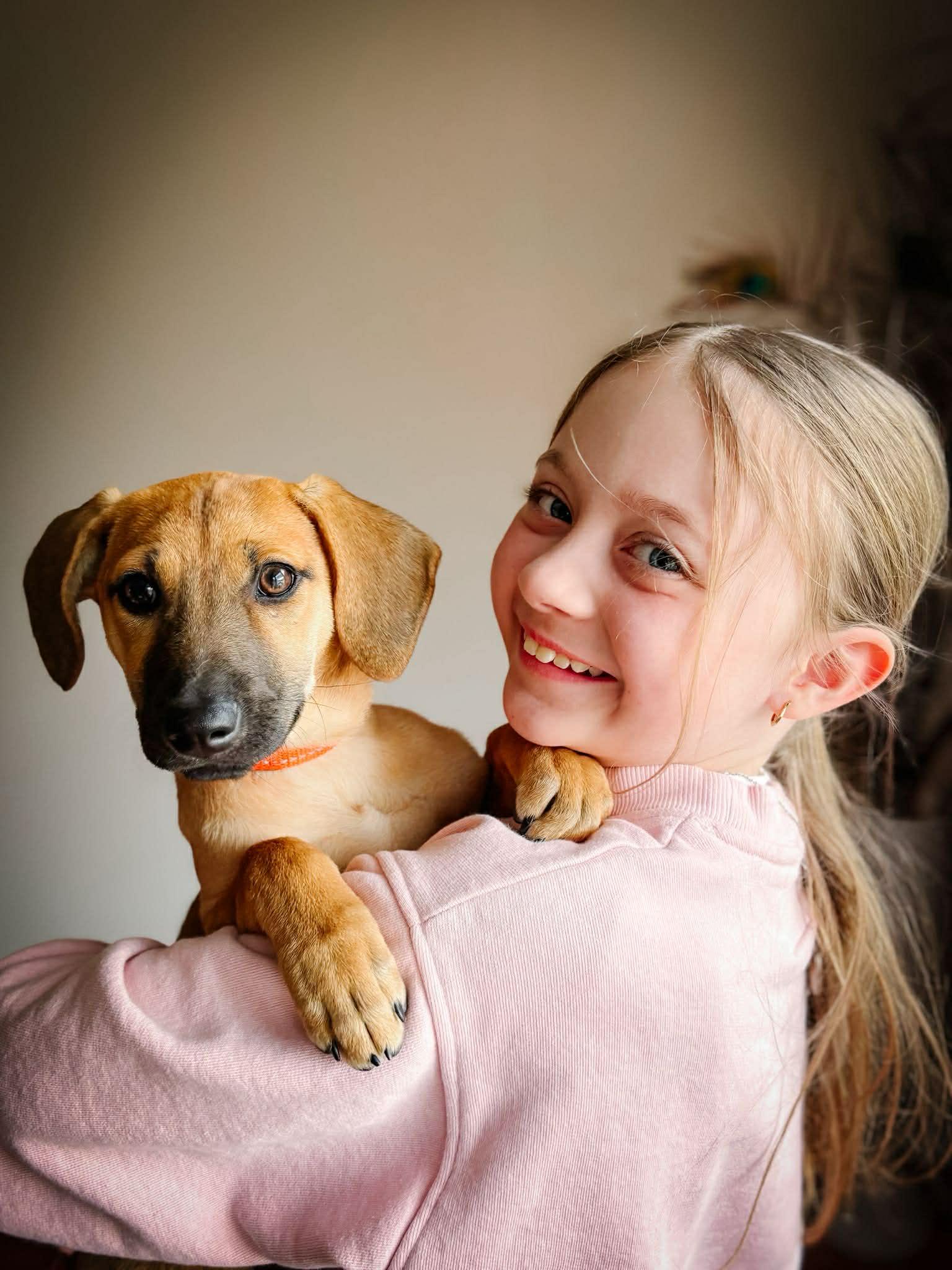 FREYA, a Adoptable mixed breed in Richmond Hill , ON image 4/6