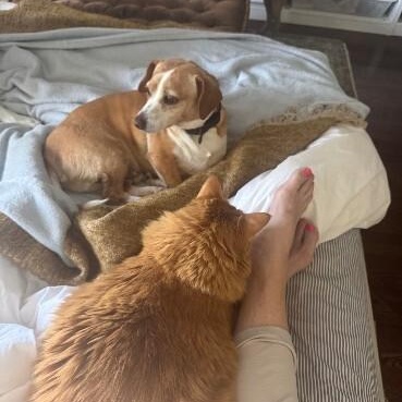 Tuck loves snuggles and adventure — thumbnail 2