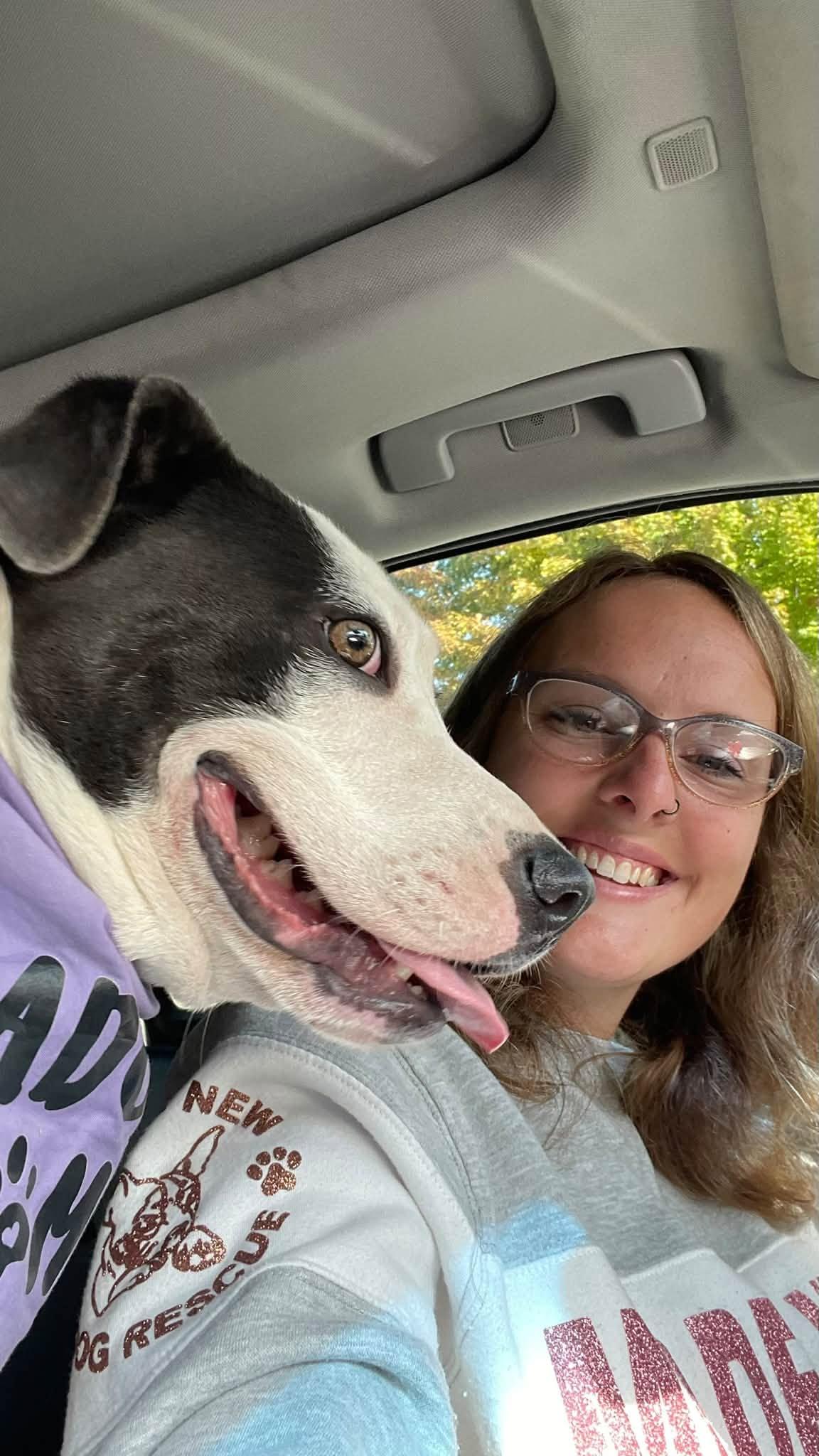 Enlarge Elliot, a Adoptable Mixed Breed in Clinton, WI image 6/6