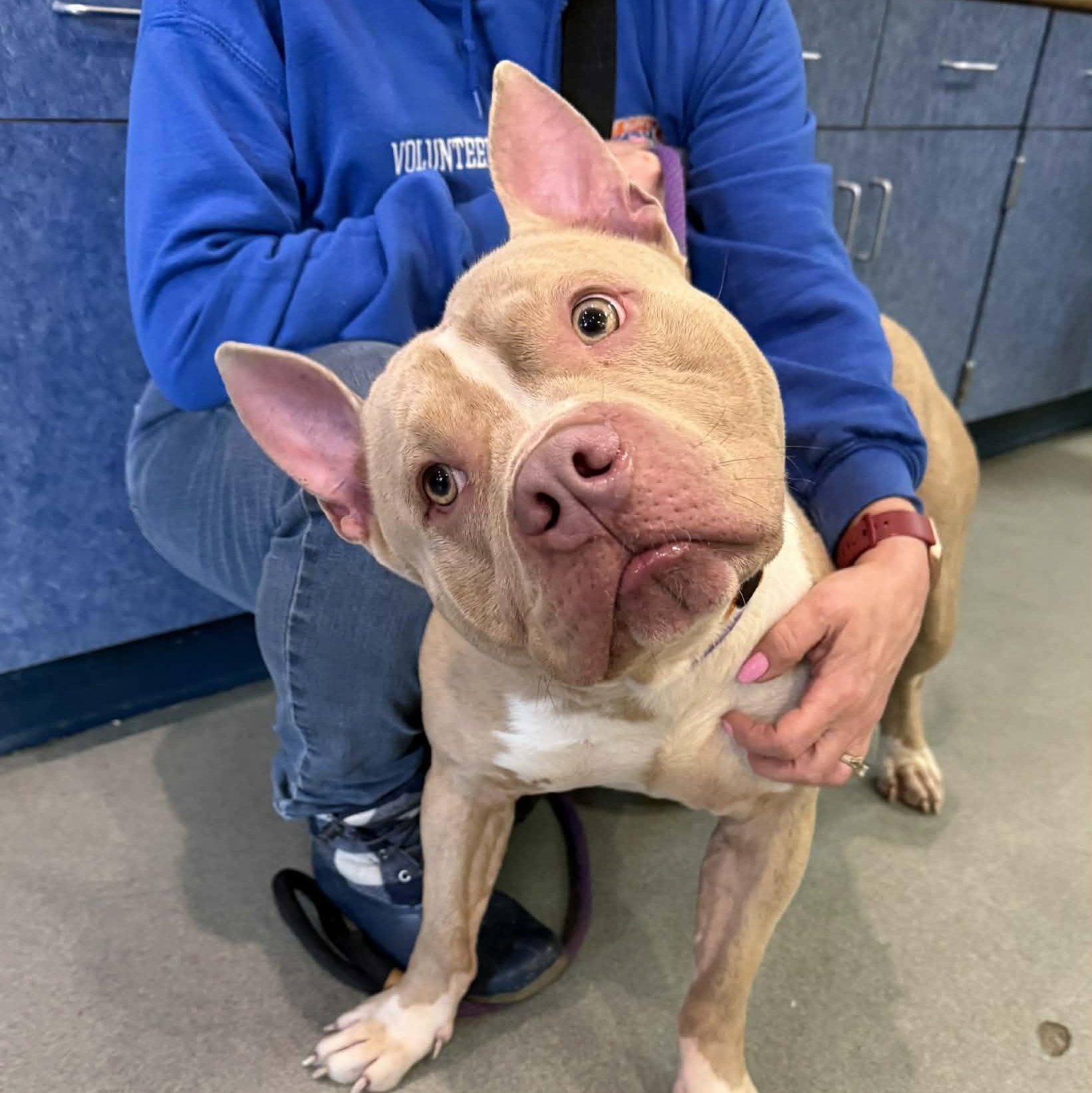 Big Ale — thumbnail 3