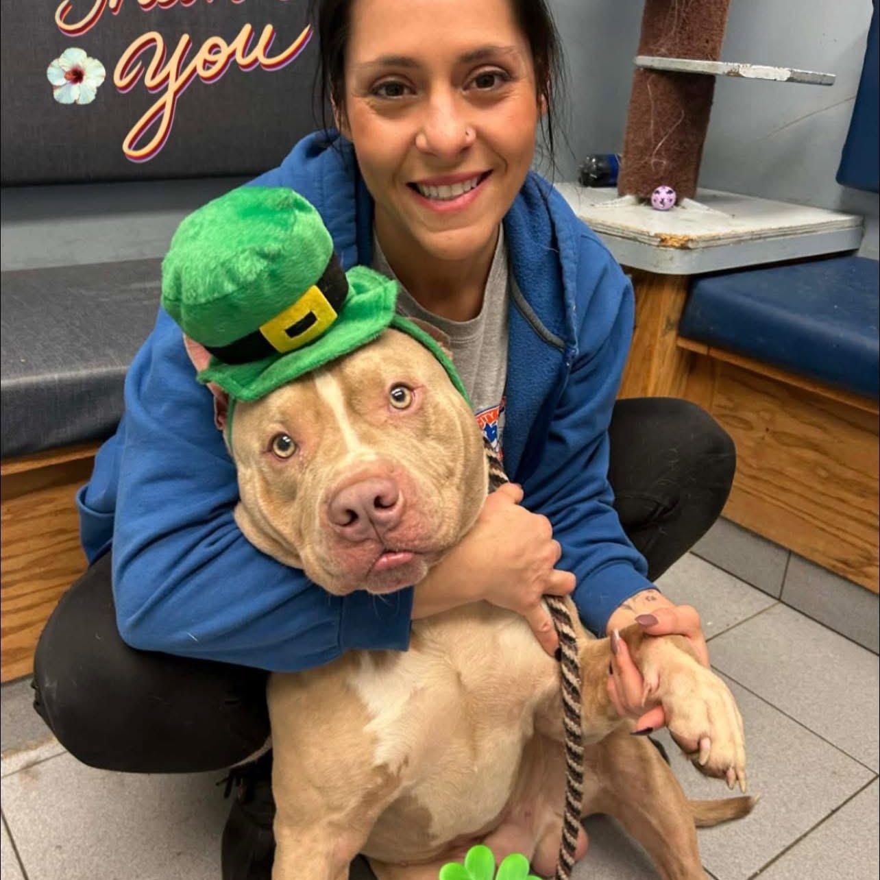 Big Ale — thumbnail 4