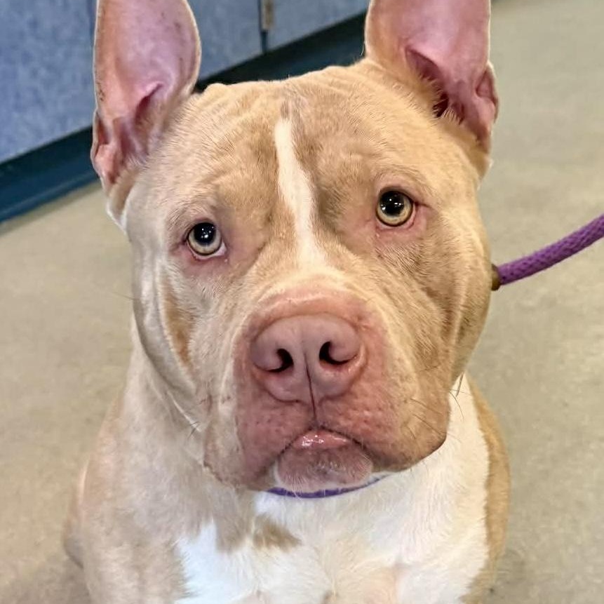 Big Ale — thumbnail 5