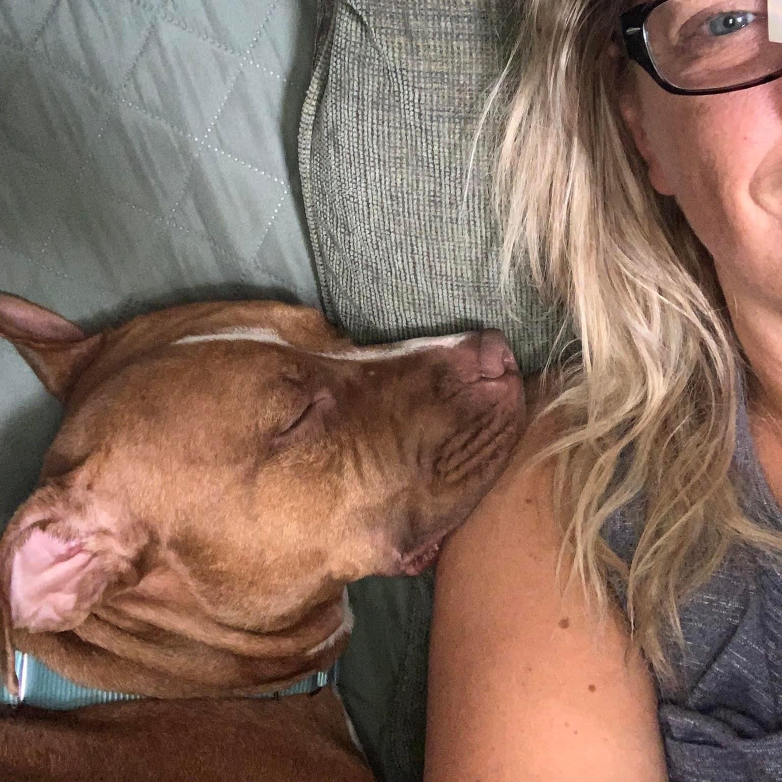 Enlarge Silas, a Adoptable Pit Bull Terrier in Manchester, CT image 16/20