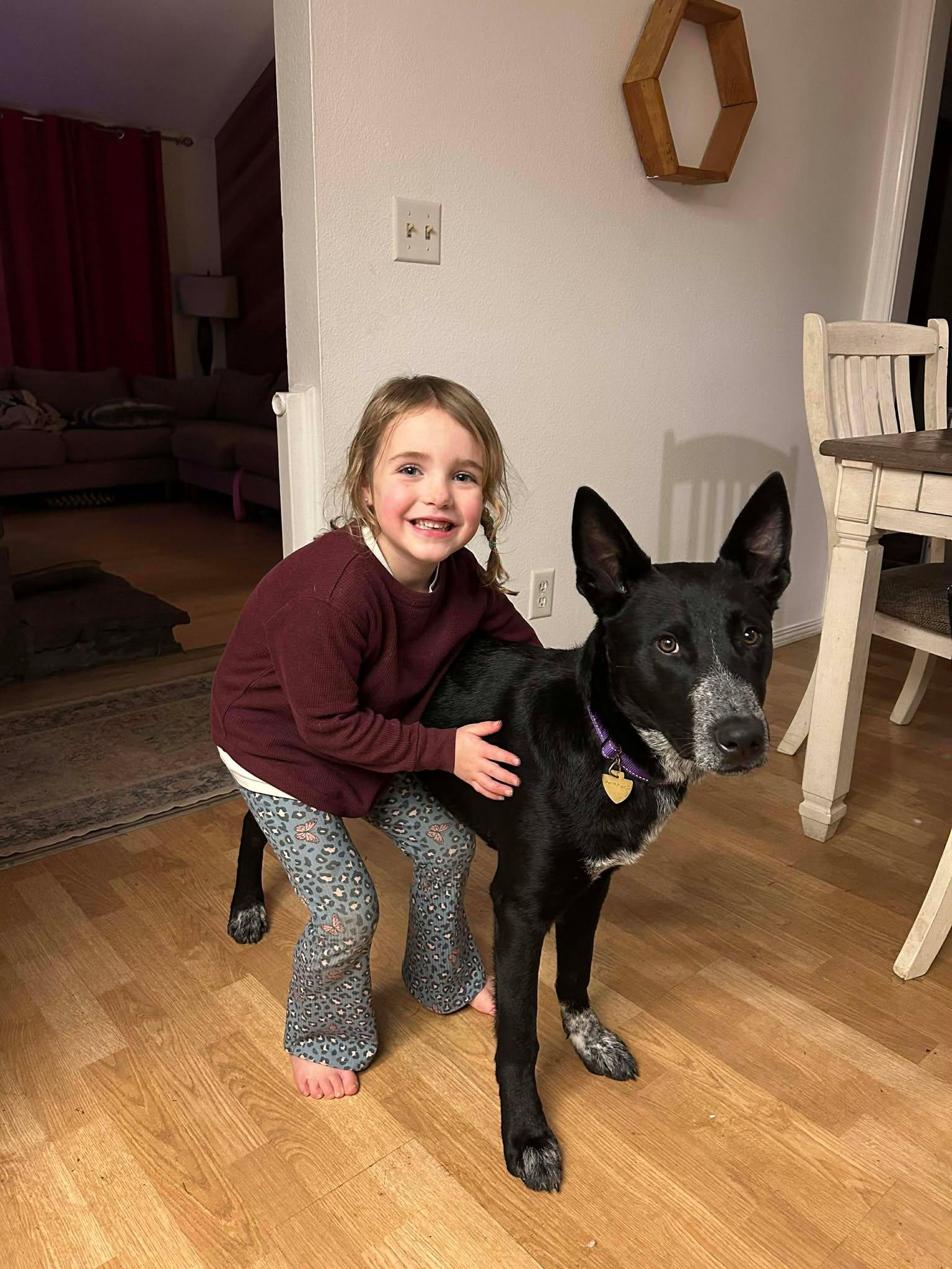 Enlarge Ranger, a ADOPTABLE mixed breed in Vancouver, WA image 4/5