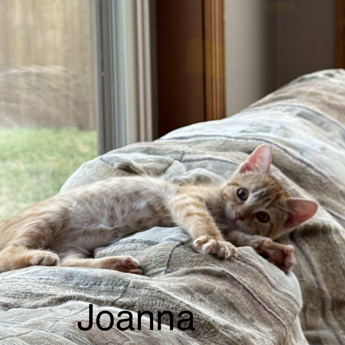 Joanna