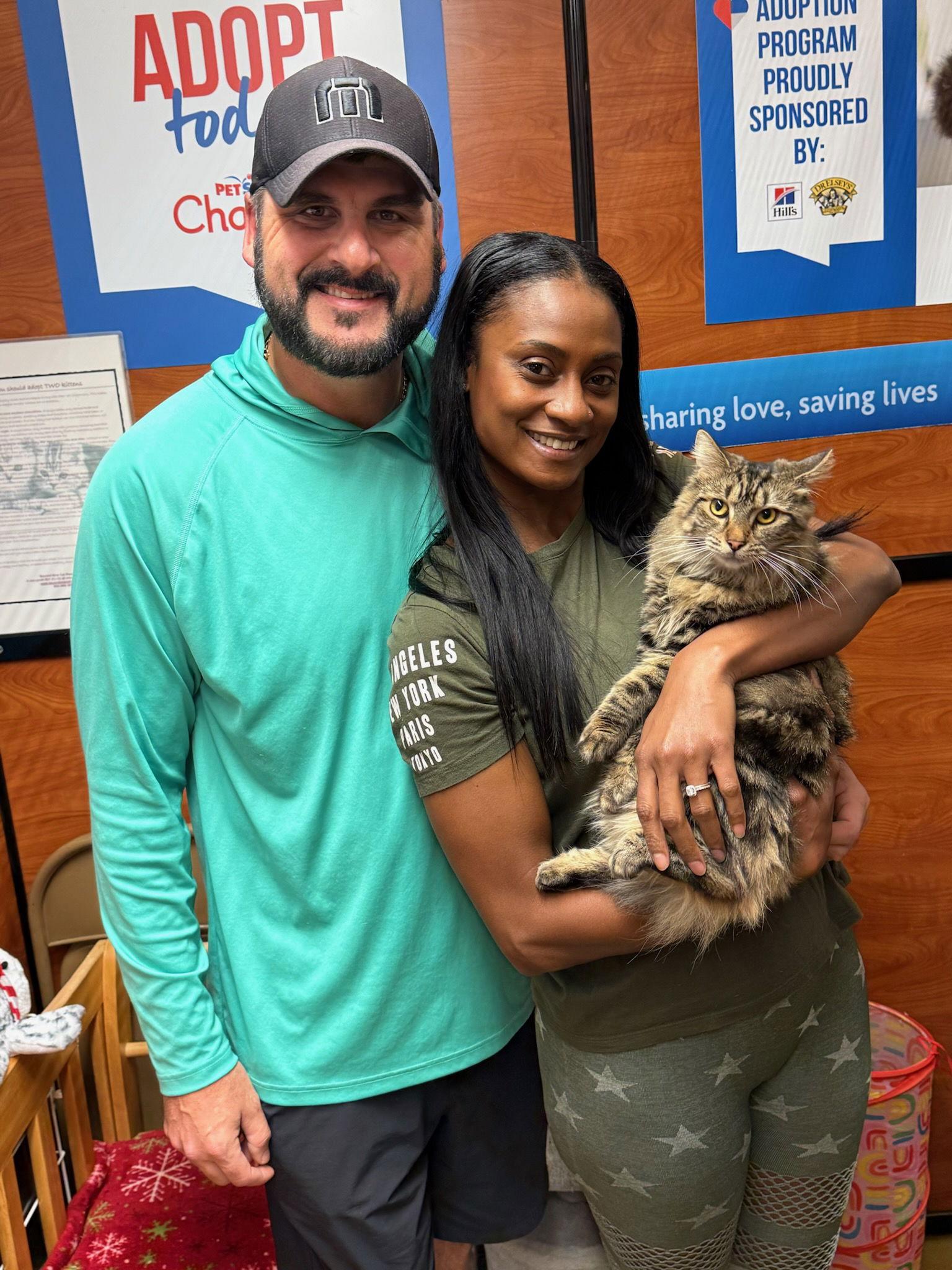 Elektra, Adopted, Young Female Domestic Medium Hair.