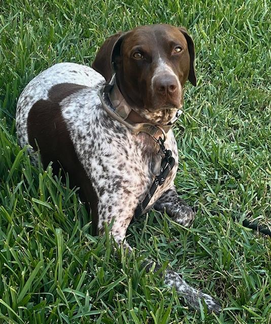 HUNTER