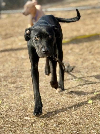 Blick — thumbnail 3