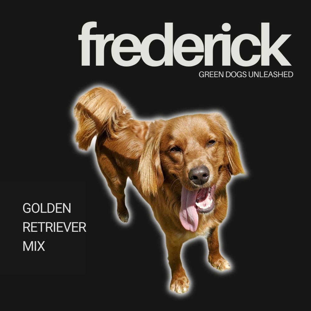 Enlarge Frederick, a Adoptable mixed breed in Troy, VA image 4/6