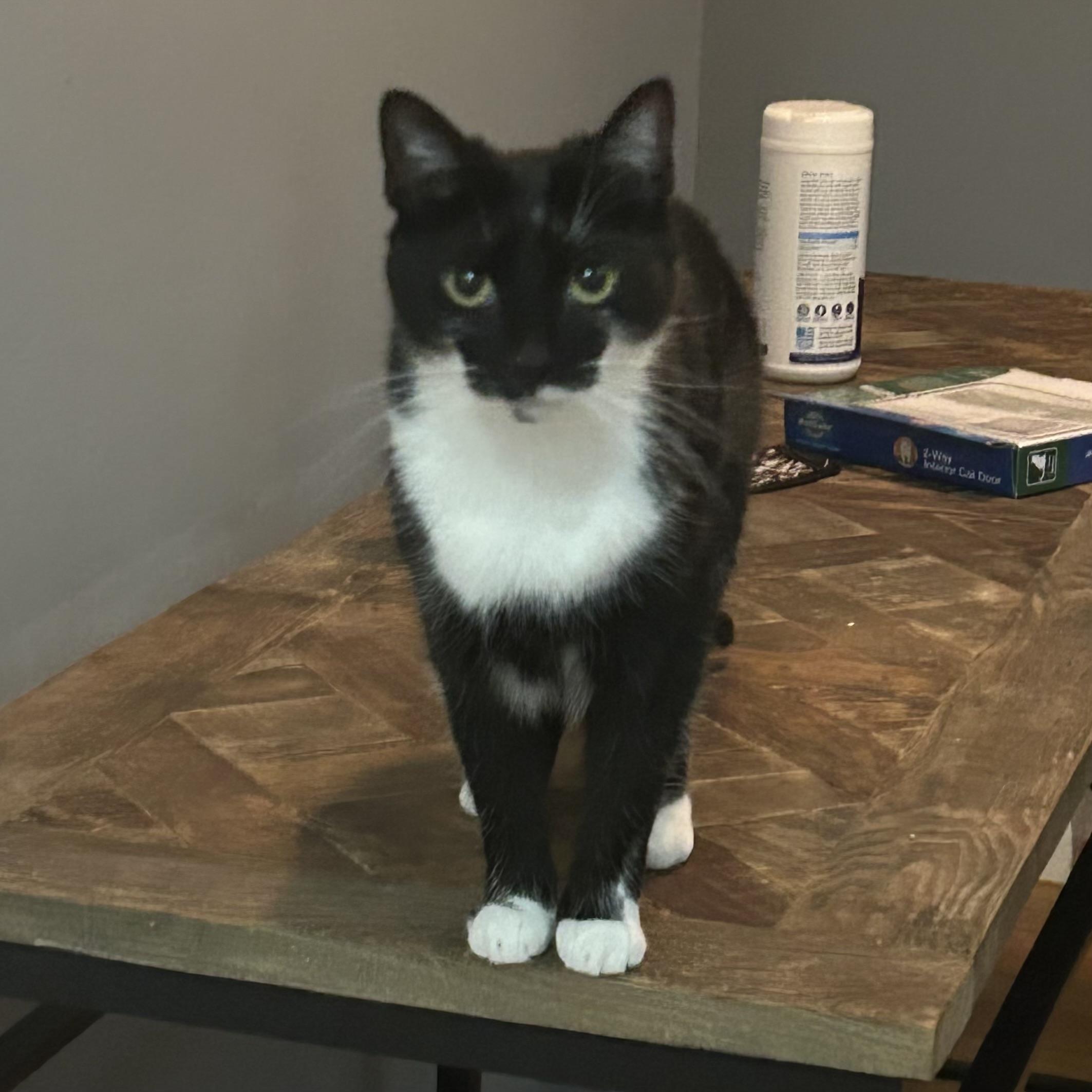 Smudge